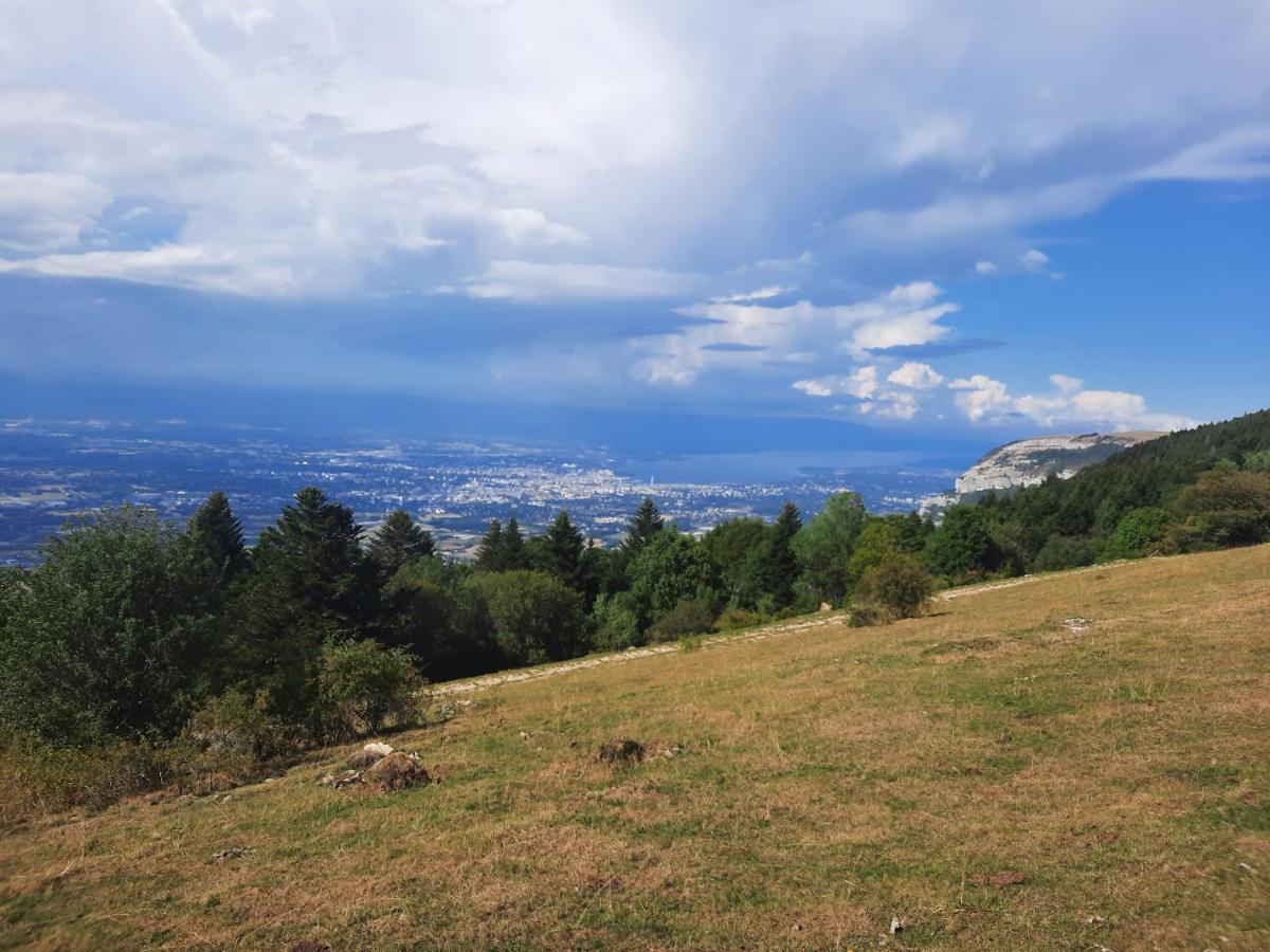 The Originals City, Hotel Rey Du Mont Sion, Saint-Julien-En-Genevois Sud Екстер'єр фото