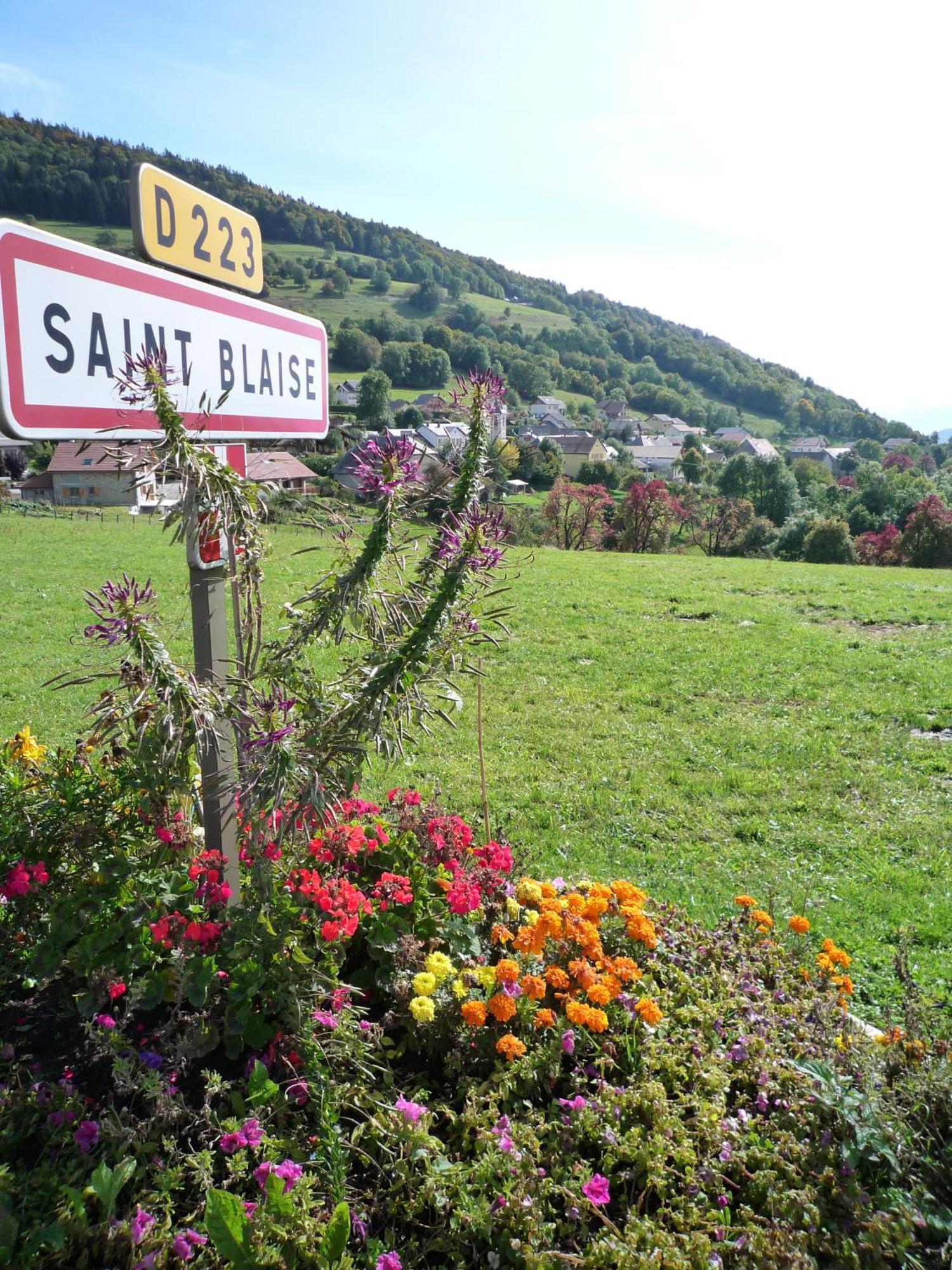 The Originals City, Hotel Rey Du Mont Sion, Saint-Julien-En-Genevois Sud Екстер'єр фото